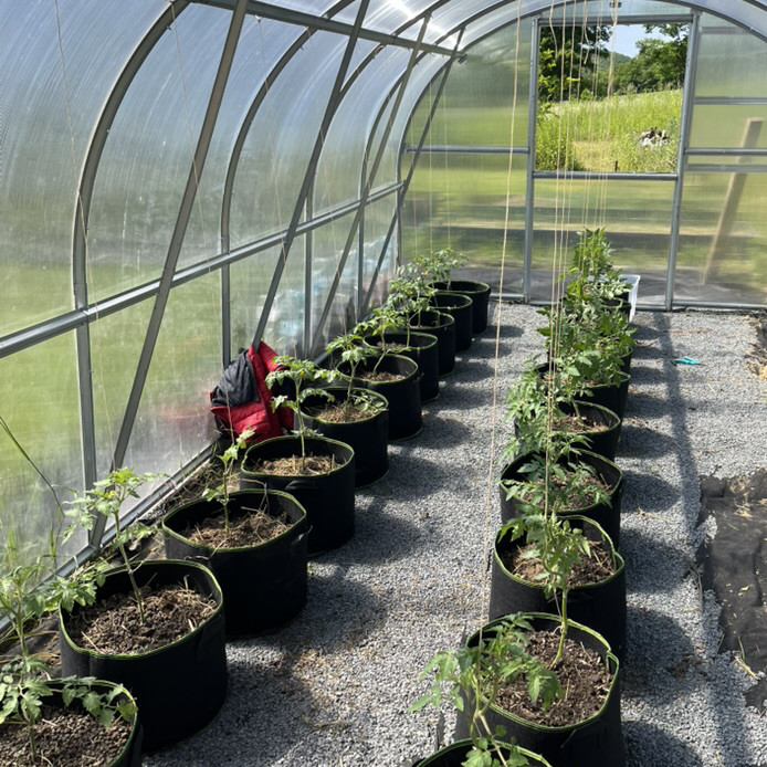 Alpakaland - Üvegház